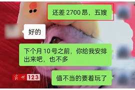 成都成都专业催债公司，专业催收